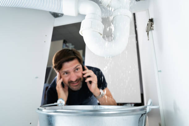 Best Faucet Repair  in Greenfield, WI